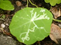 HPIM0729.webp