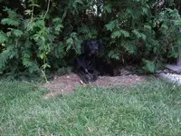 schatten1.webp