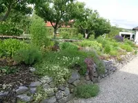 einf.graitstein.webp
