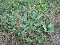 unkr1.webp