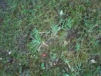 CIMG0895.webp