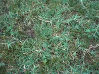 CIMG0893.webp