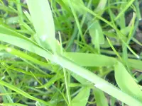 Unbenannt1.webp