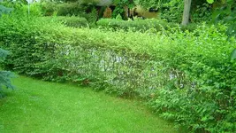 Bild1.webp