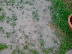 garten2.gif