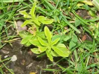 110_0924.webp