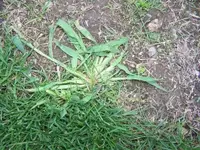110_0919.webp