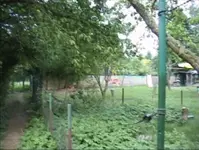 Garten vor 4 Jahren (2).webp