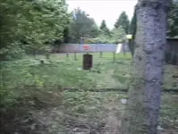 Garten vor 4 Jahren .webp