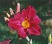 120_3562653237373437.webp