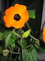 IMG_6479_rs.webp