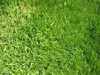 IMG_0968_neu.webp