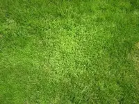 IMG_0969.webp
