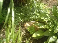 Bilder neu 112.webp