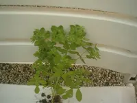 Bilder neu 113.webp