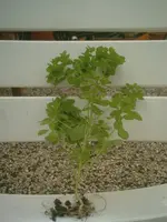 Bilder neu 121.webp