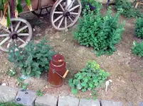 oettkanne.webp