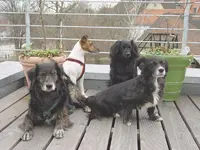 gruppenbild-mit-susi1.webp