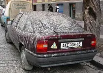 scheiss_tauben.webp