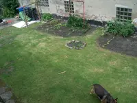 bildchen1.webp