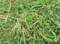 000_0097.webp