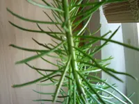 _0002_Größe ändern.webp