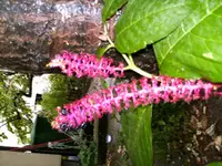 HPIM0783.webp