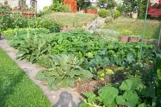 garten hang  verkl 06.webp