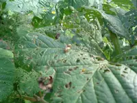 DSCF0939.webp