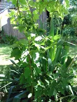 Bild 001.webp