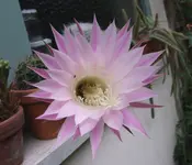 Bild 120.webp