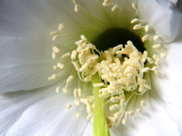Bild 965.webp