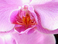 Bild 838.webp