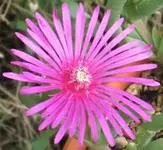 k-k-IMG_1248.webp