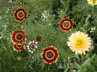 DSCN0363.webp