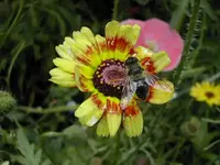DSCN0366.webp