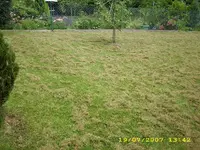 Garten 163.webp