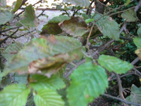 IMG_2313s.webp