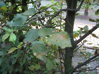 IMG_2314s.webp