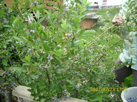 Kamerabilder 041.webp