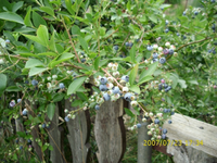 Kamerabilder 042.webp