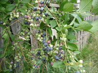 Kamerabilder 044.webp