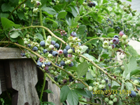 Kamerabilder 046.webp