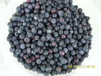 Kamerabilder 108.webp