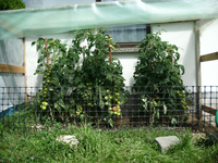 Kamerabilder 147.webp