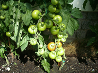Kamerabilder 149.webp