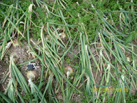 Kamerabilder 097.webp