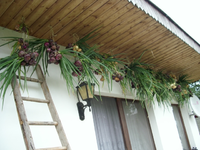 Kamerabilder 195.webp