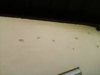HPIM0863.webp