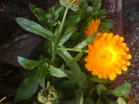 DSC00540.webp
